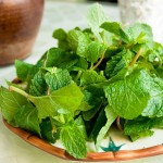 mint salad