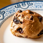 _MG_4668 - hotcrossbuns