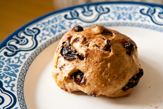 _MG_4668 - hotcrossbuns